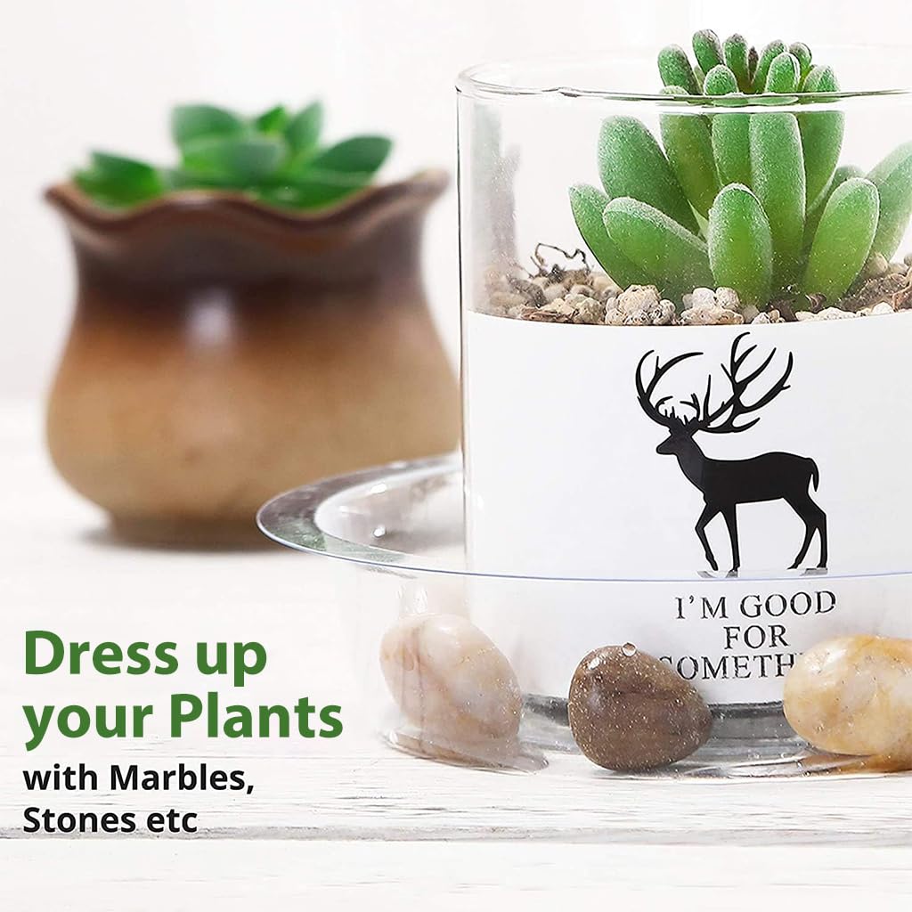 HASTHIP Multipack Plant Pot Saucers-12psc Durable Plastic Trays in 4 Sizes (6''/8''/10''/12''), With Grooved Bottoms For Efficient Drainage, UV-Resistant Indoor & Outdoor Round Plate Set
