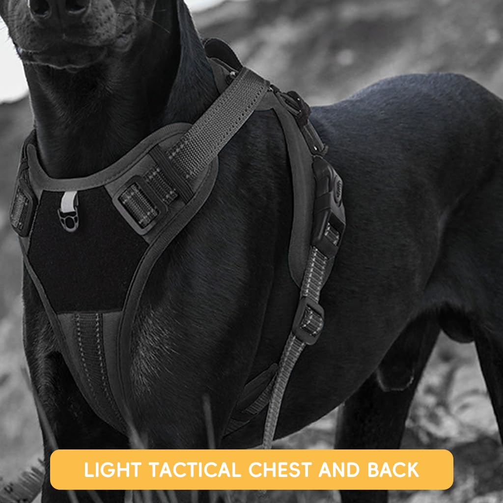 Qpets No Pull Dog Harness with Leash for Small Dog, Dog Vest Harness with Alloy Leash Buckle Breathable Safe Reflective Strap Free Adjustment with Quick Release Buckle (Size: M, Pink)