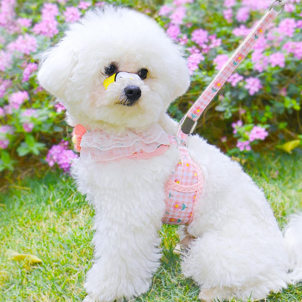 Qpets Cat Harness with Leash, Cute Flower Cat Belt Print Pink Pet Harness for Cat, Fashion Breathable Cat Leash with Harness Small Pet Walking Harness (S, Recommended Weight: 1.5-3.5KG)