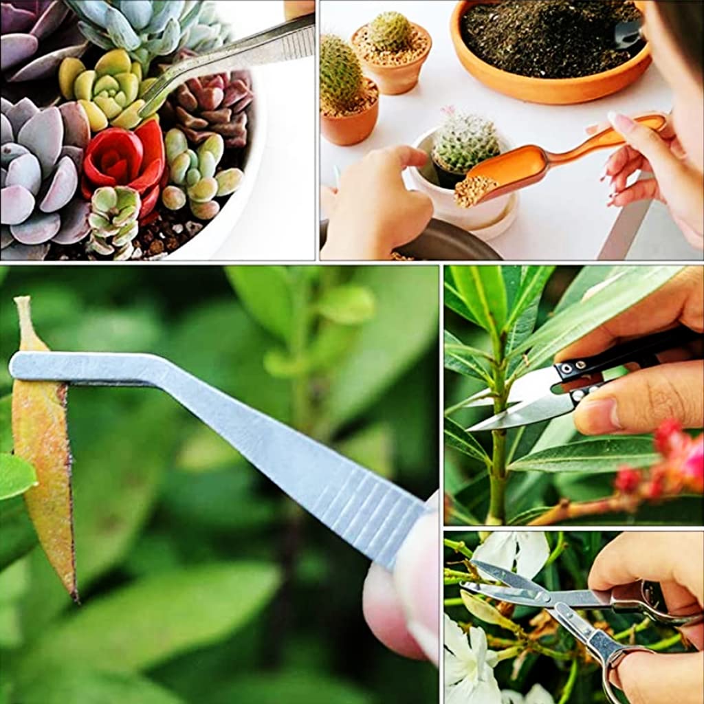 HASTHIP 13pcs Gardening Tools Kit, Plant Tools Kit for Home Gardening Agricultural Tools for Small Plants, Transplanting, Seedling, Succulent Planting