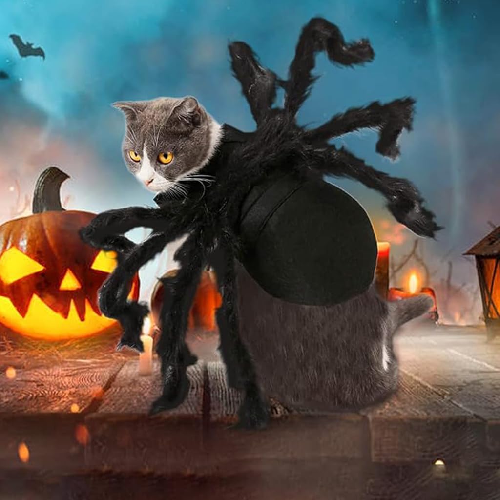 Qpets Halloween Fun Dog Clothes, Small Dog Costume, Spooky Spider Dog Clothes Cats Clothes Small Dogs Cats Fun Halloween Costume, M