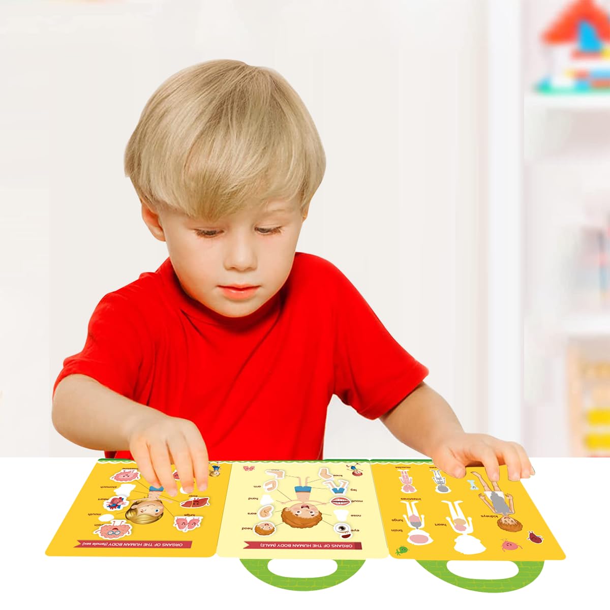 PATPAT Stickers for Kids Montessori Busy Books for Kids, Body Learning Reusable Stickers for Toddlers, Educational Toys Stickers for Kids Sticker Book Learning Toys Birthday Gifts for Kids 3+ Years