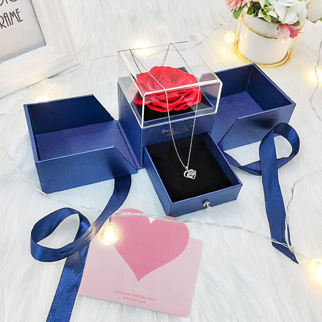 HASTHIP Eternal Rose Necklace for Women Girls Creative Preserved Rose Flower Necklace Gift for Women Creative 'I Love U' Projection Necklace Gifts for All Ladies on Birthday Christmas Valentines Day