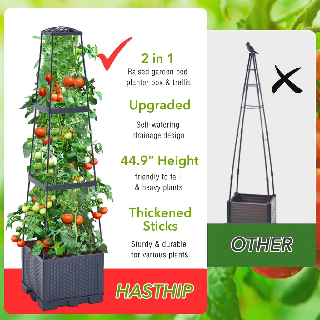 HASTHIP Planter Box for Twining Plants, Clinging Plants, Tendril Plants, Climbing Vegetables, Vegetables Pots for Home Garden with Draining Holes & Trellis
