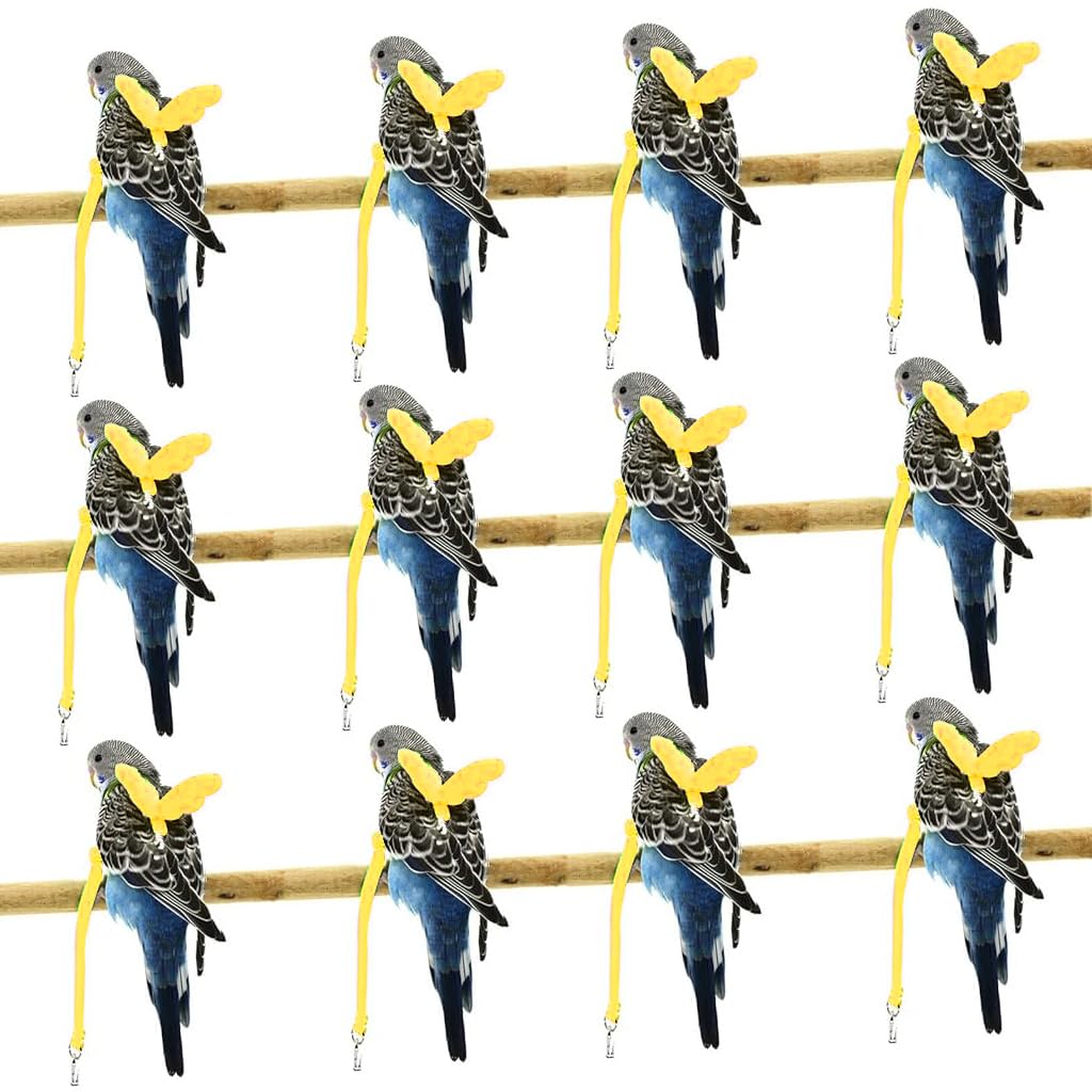 Qpets Pet Parrot Bird Harness, Anti-bite Outdoor Parrot Bird Flight Safety Belt for Parrot Training, Bird Toys Elastic Rope with Cute Angel Wings for Parrot, Yellow