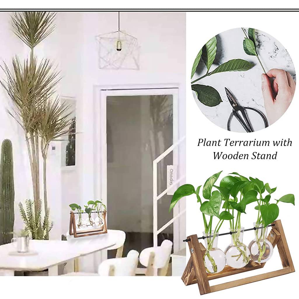 HASTHIP 3Pcs Hydroponics Glass Planter with Wooden Stand for Desktop Table Decor Home Office, Plant Terrarium, Air Planter Bulb Glass Vase for Propagating Money Plant, Flower and More