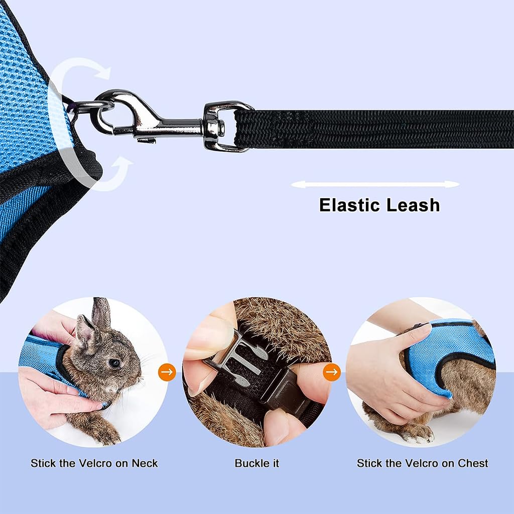 Qpets Rabbit Harness with Leash Breathable Mesh Harness for Rabbit 3.5lbs-6lbs Adjustable Small Pets Harness for Rabbit, Guinea Pigs, Chinchillas (XL, Blue)