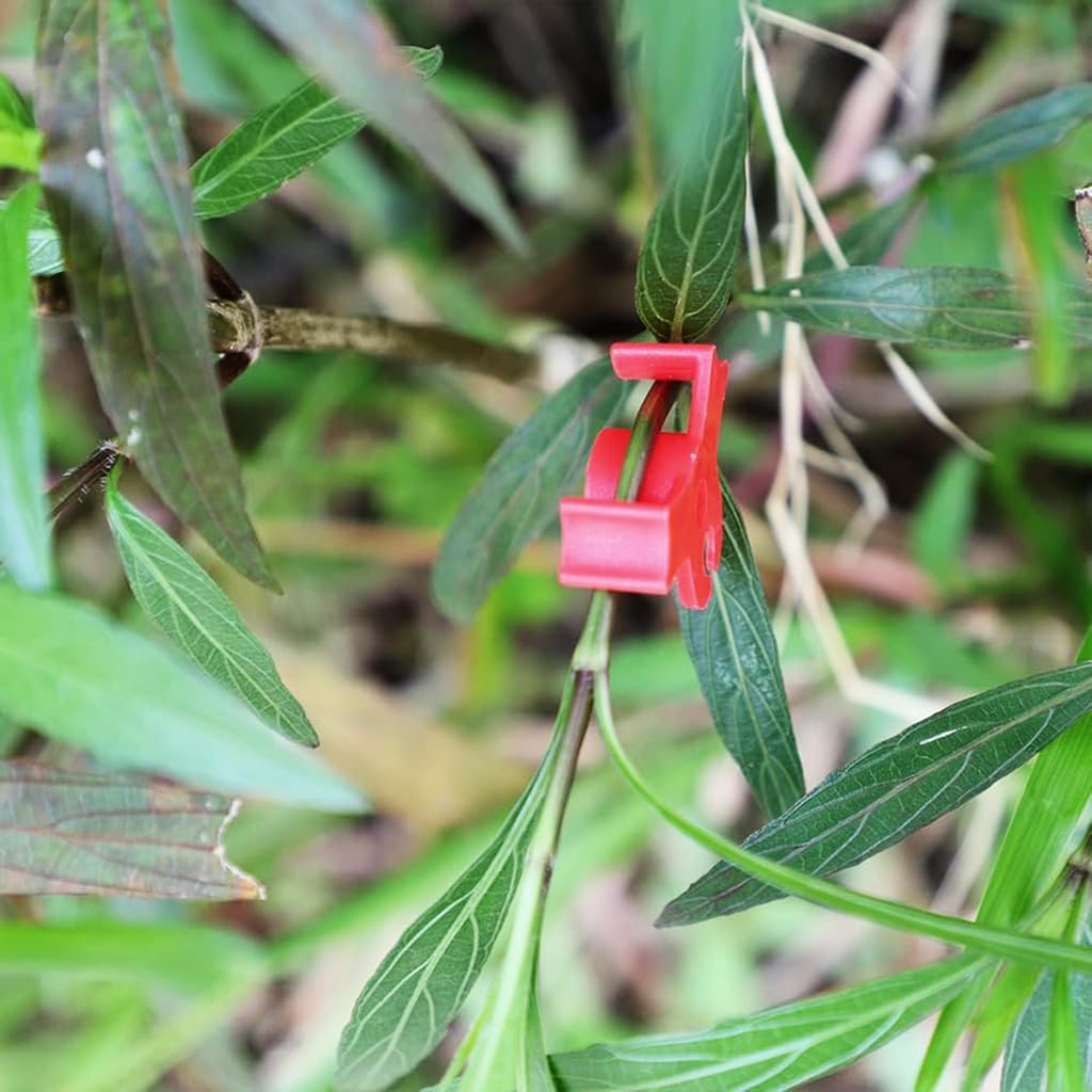 Proberos 50pcs Plant Clip Plastic Support Clip Bender Clip for Plant Branch Control Clip Growing Angle Control Clip