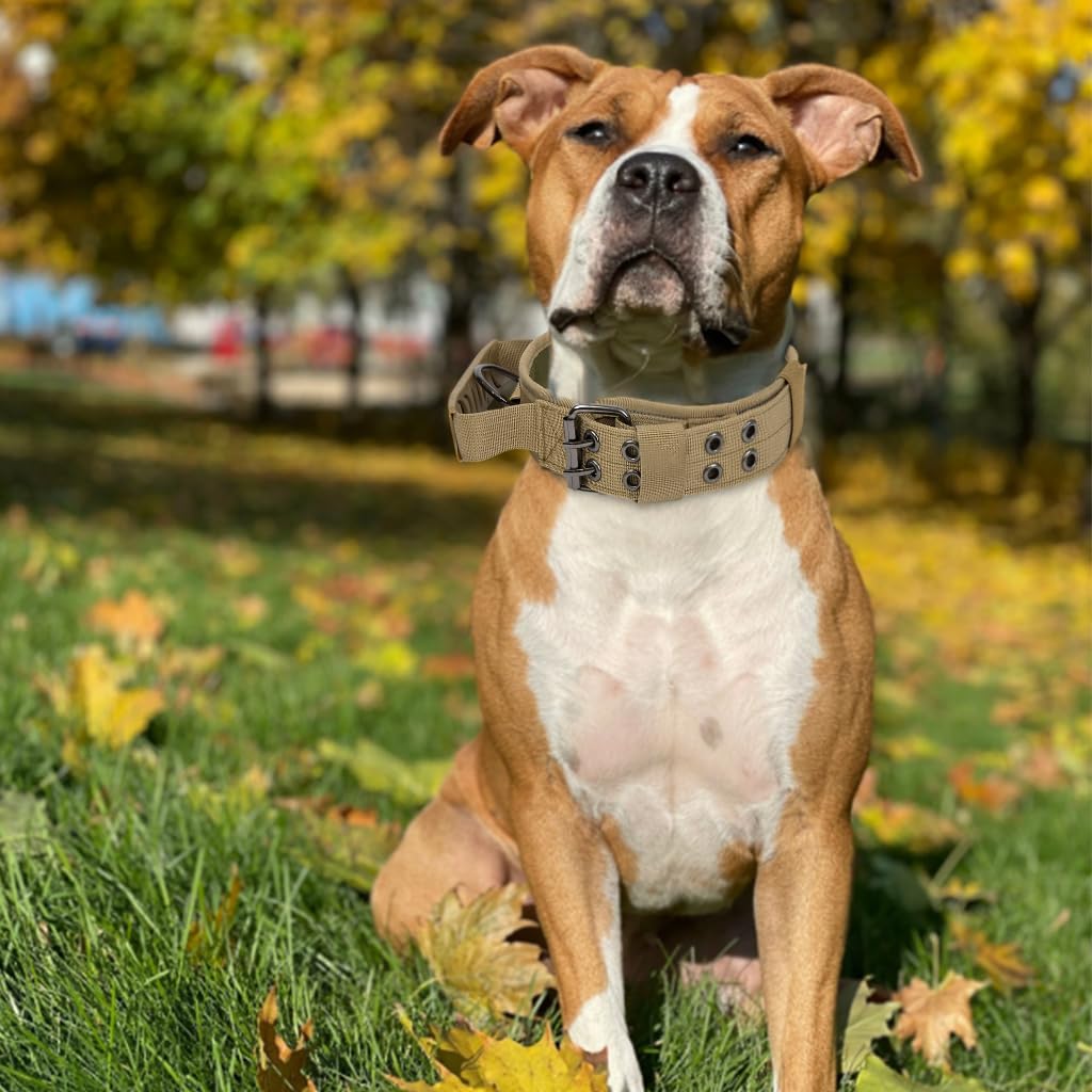 Qpets Dog Collar Nylon Tactical Dog Collar with D Ring & Handle Adjustable Dog Collar with Reflective Safety Strip Dog Training Collar for Medium Large Dogs(XL, 20''-25.5'')