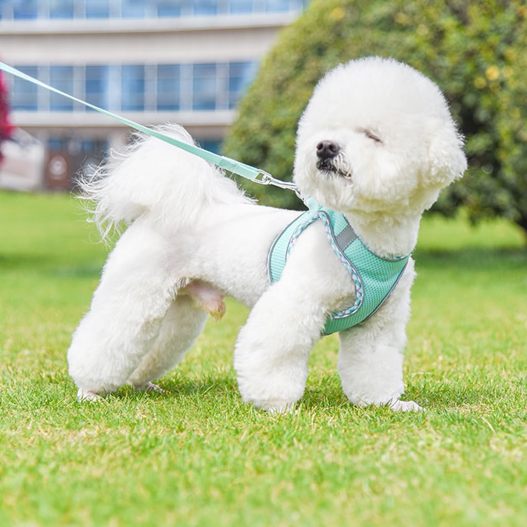 Qpets Small Dog Harness, 4.9Ft Dog Leash Breathable Mesh Pet Harness Small Dog Vest Harness with Safe Reflective Strips No Pull Small Dog Harness (Neck: 36-42CM)