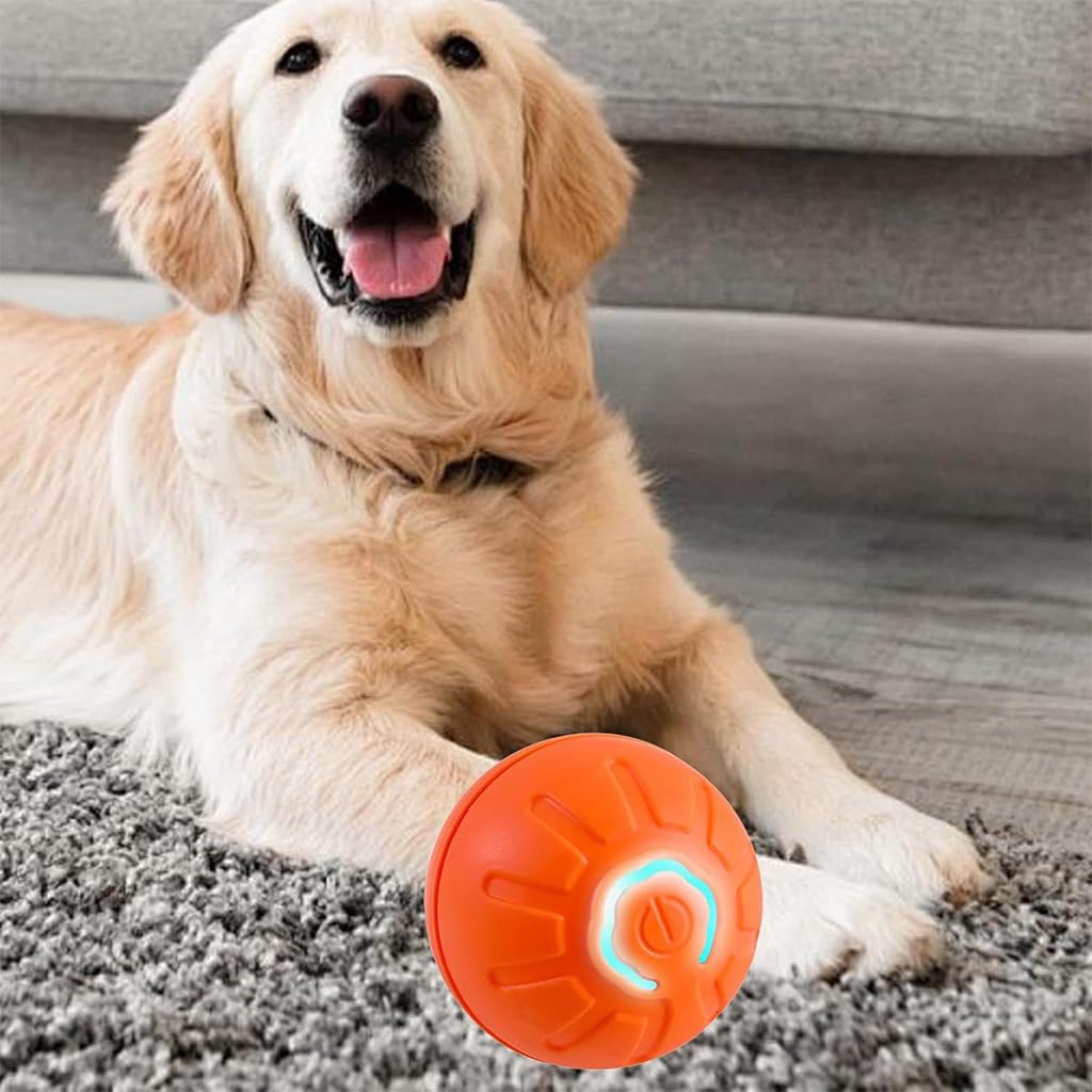 Qpets Dog Ball Puppy Essentials