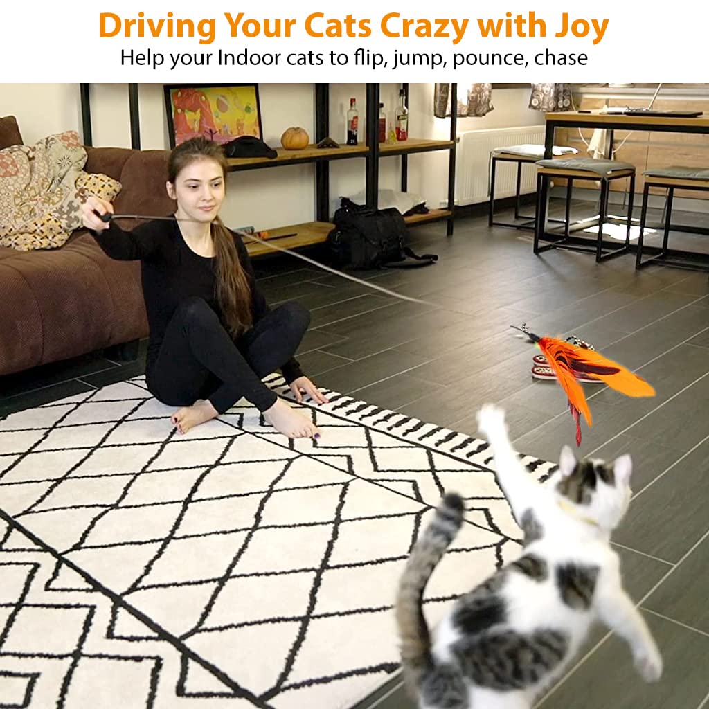 Qpets Cat Teaser Toy, Feather Toy for cat 11 Pcs Cat Toy Set with 2 Retractable Teaser Wand & 5 Feather Teaser Toy & 4 Worm Teaser, Interactive Cat Toys for Kitten to Play Chase Activity Exercise