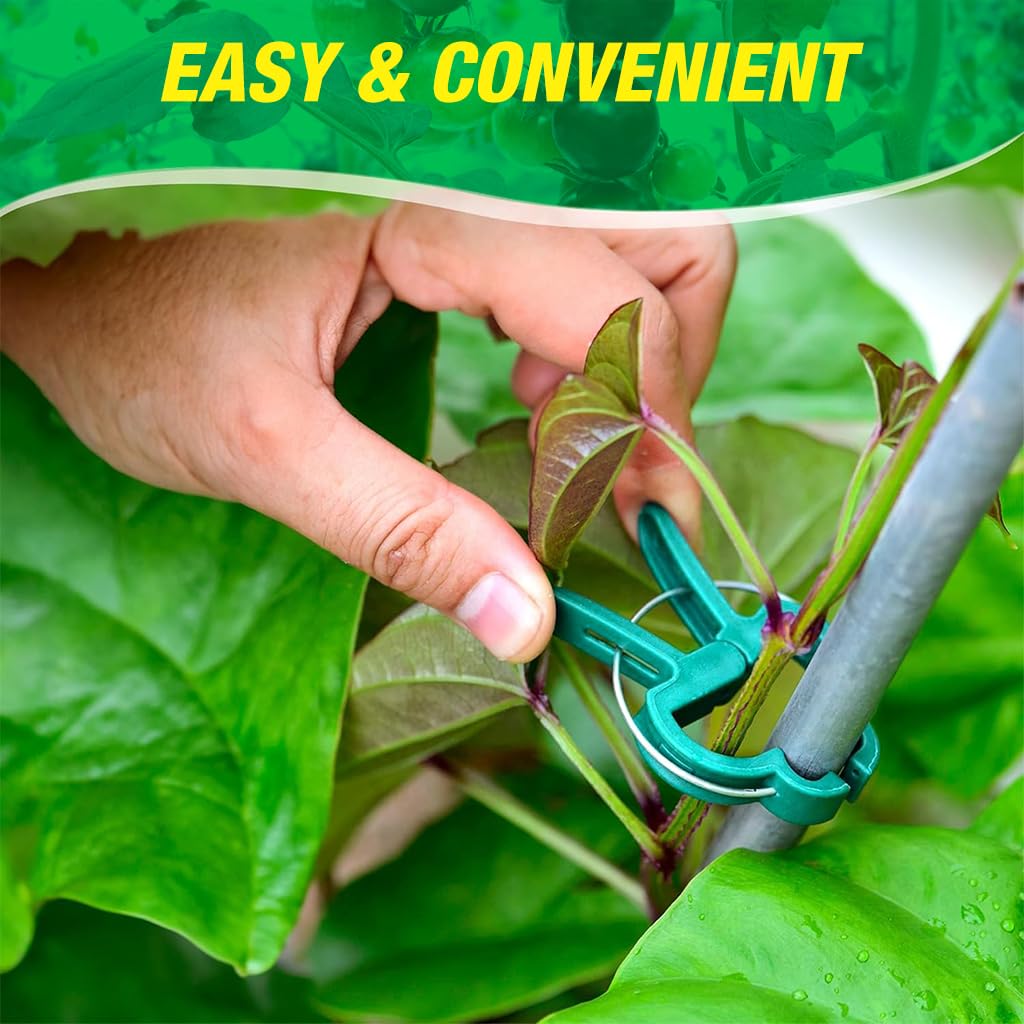 HASTHIP Plastic Plant Support Clips - 120 Pcs Plant Clips for Climbing Plants - Garden Plant & Vines Support Clips - Plant Support Clips for Supporting Stems & Vines Grow - Upright Climbing Clips