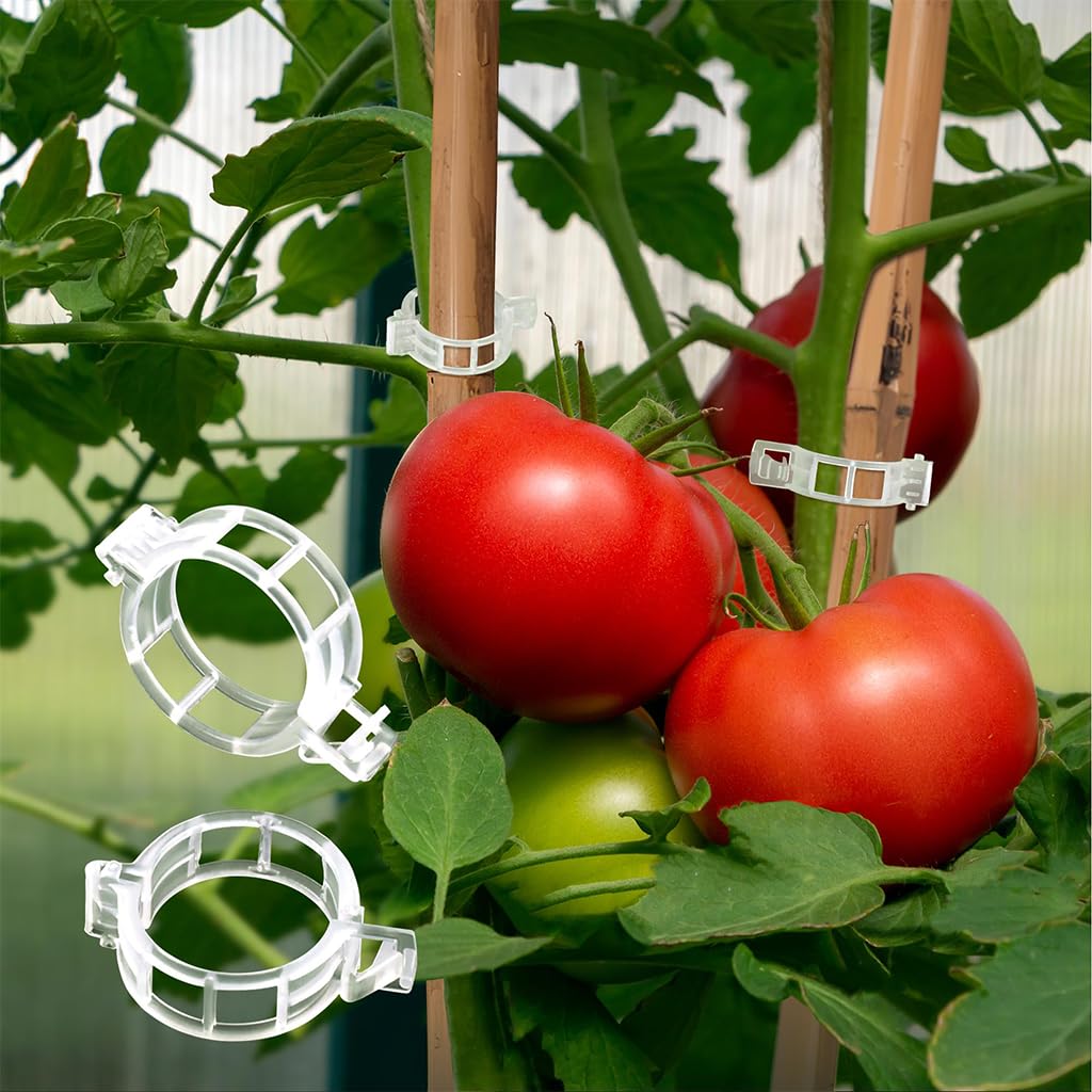 HASTHIP 300Pcs Gardening Supportive Ring Clips - Creeper Plant Support - Plant Sticks Support for Vines Hook & Vines Climbing Clip - Plants Support Clips for Flowers, Vegetables, Plants