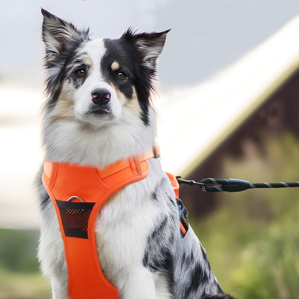 Qpets Dog Belt, Walk Dog Harness, Dog Harness for Large Dogs, Oxford Fabric Dog Vest Chest Harness with Seat Belt Lock Buckle (L, Min 18KG - Max 30KG)