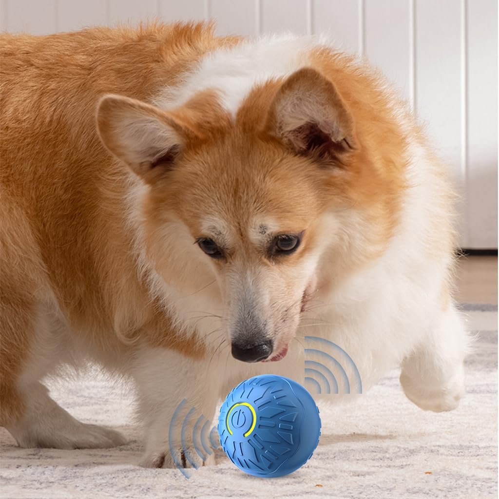 Qpets Small Dog Ball, 2 Inches Dog Chew Toys, Rubber Toys for Dogs, Interactive Bouncing Dog Toy with Cool Lighting Ideal for Indoor and Outdoor (Relieves Anxiety, with USB Cable)