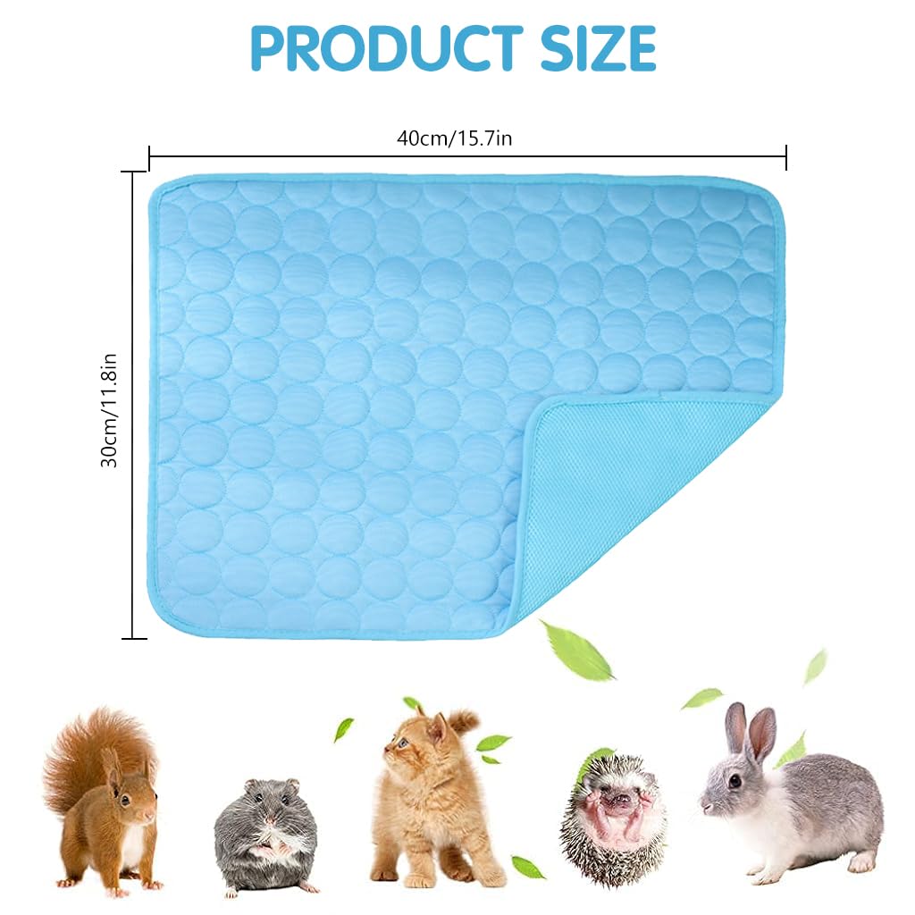 Qpets 1Pcs Summer Cool Mat for Small Pet Ice Silk Comfortable Summer Cool Mat 15.7x11.8 Inches Summer Cooling Mat Pet House Cool Mat for Rabbit, Guinea Pigs, Hamsters, Kitties, Puppies