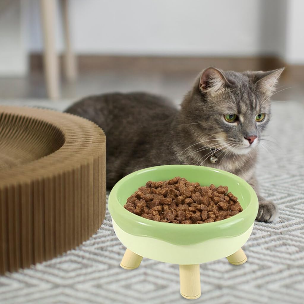 Qpets Cat Feeding Bowl, Elevated Pet Feeding Bowl with Feet, Cat Bowl for Dry & Wet Food Feeding Bowl for Cat Dog Food Grade PP Material (14CM Diameter)