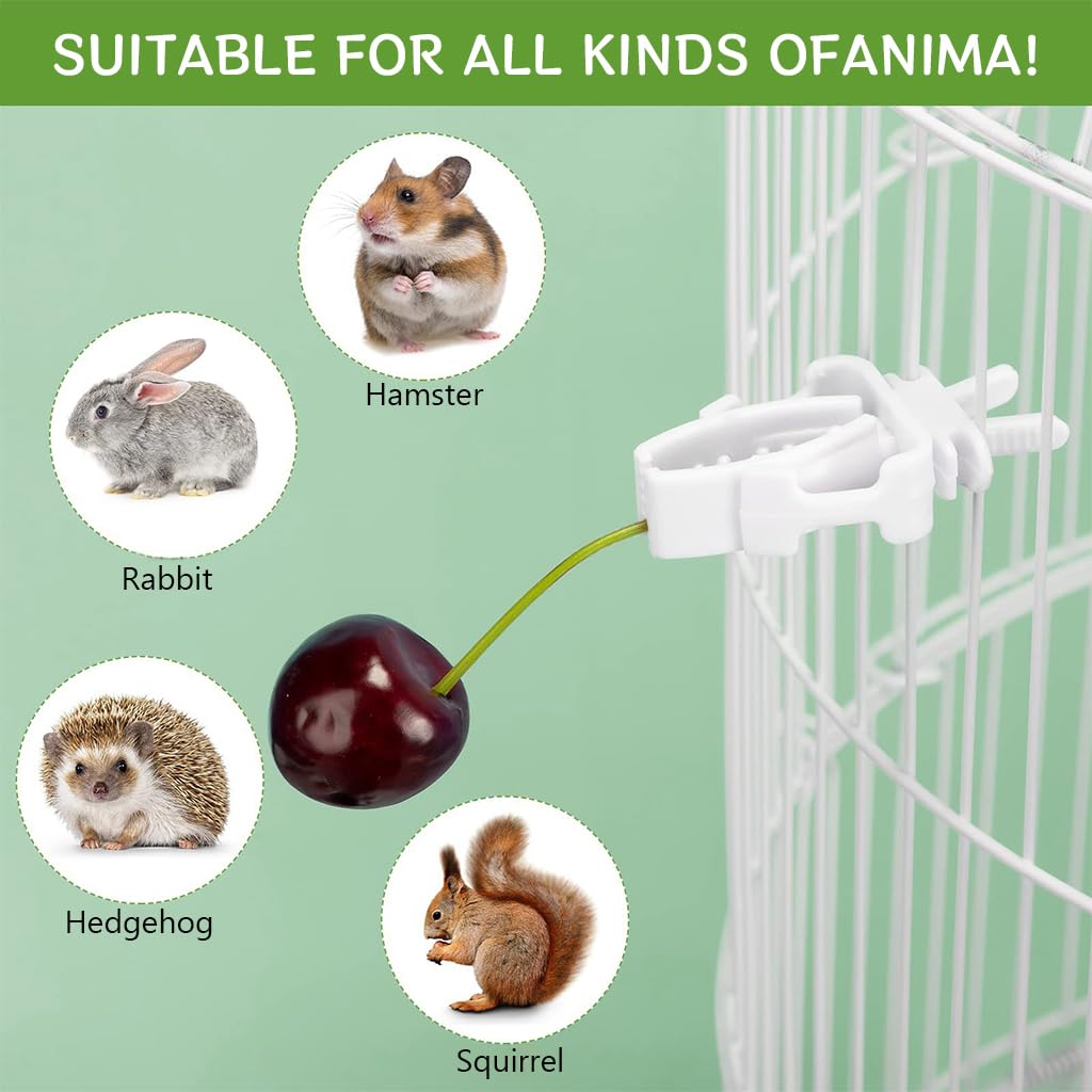 Qpets Pet Food Clip, 6Pcs Bird Food Clips Holder for Cage Fruit Slice Clip Holder for Cage Plastic Bird Food Clip for Fruit Slices, Vegetable Leaf, Stem