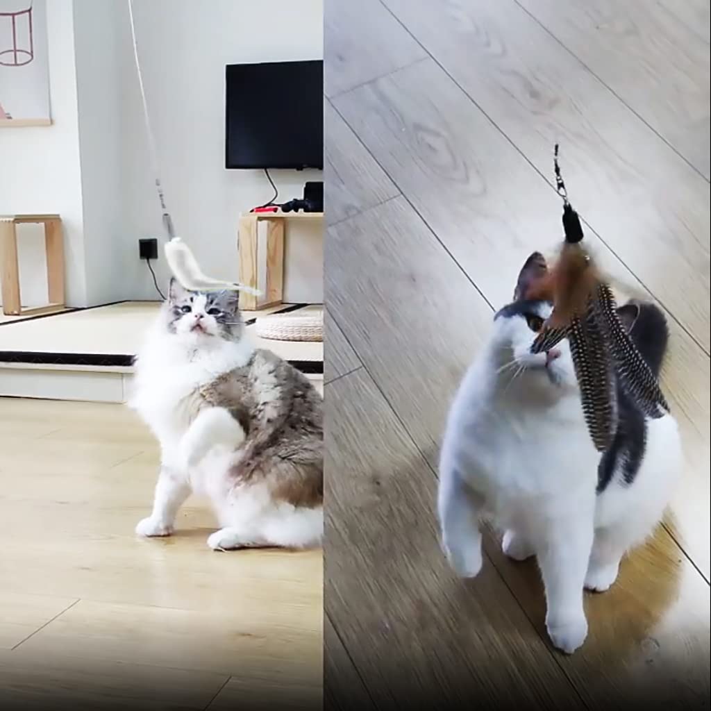 Qpets 7 Piece Cat Feather Toys Interactive Cats Teaser Wand Toy Retractable Teaser Wand Feather Worm Teaser Cat Toys