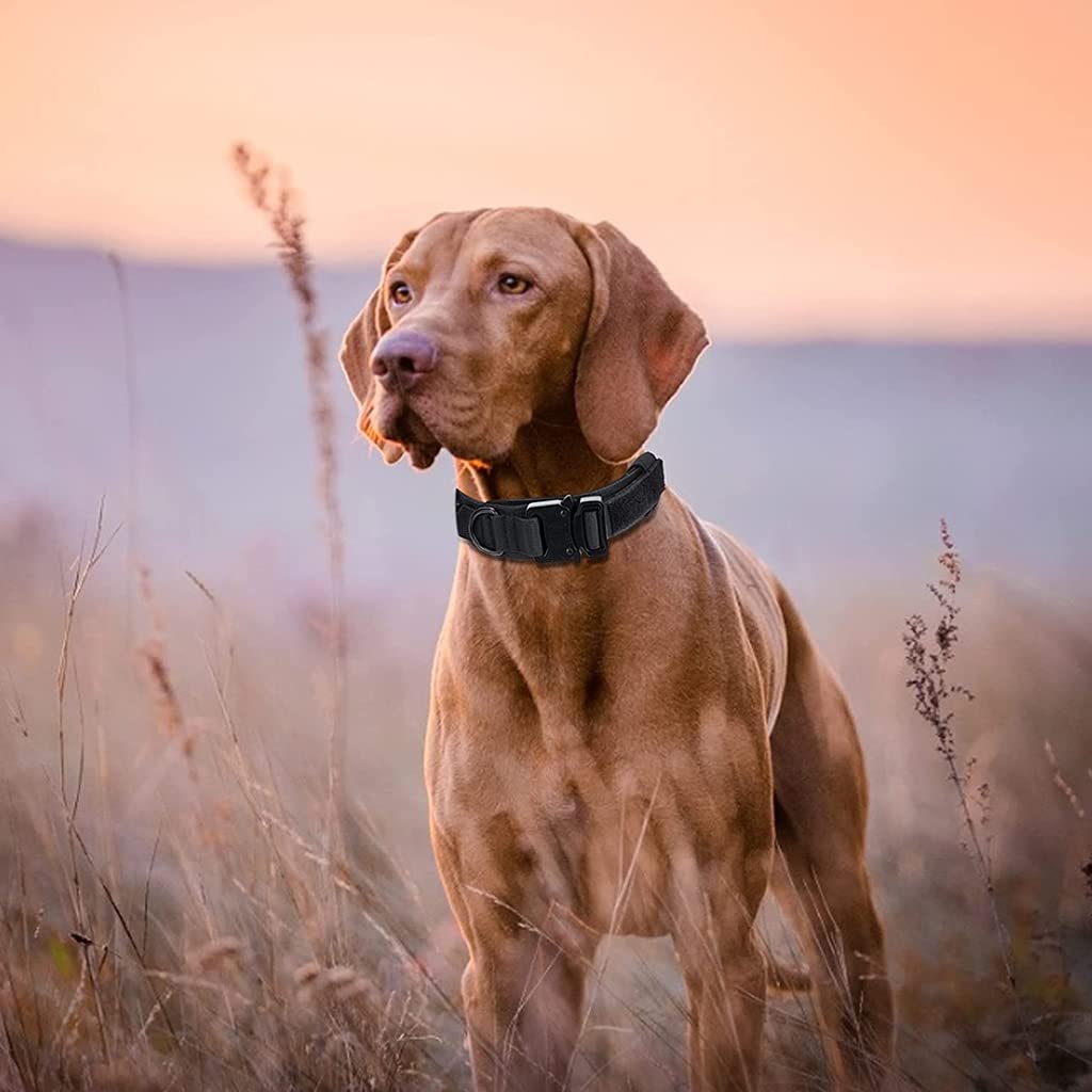 Qpets Dog Collar Adjustable Nylon Tactical Dog Collar with Strap Handle Dogs Training Collar Quick Release Metal Buckle for Small Medium Large Dogs(Black,XL,19.6''-23.2''/50-59cm)