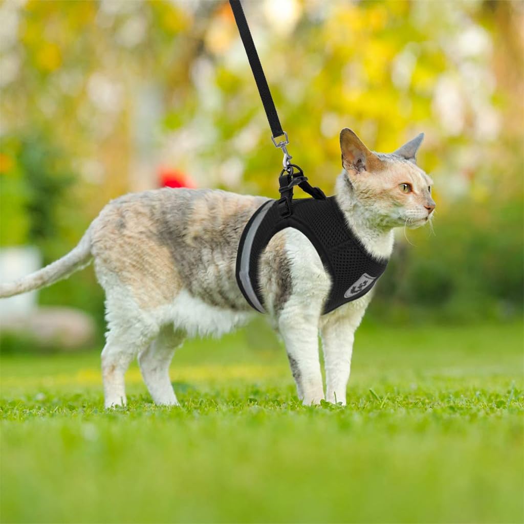 Qpets Cat Vest Harness & Nylon Webbing Leash Set Outdoor Anti-Escape Pet Harness Walking Harness Safety Reflective Strip Cat Harness Breathable All Season Use Cat Vest Harness, Size M
