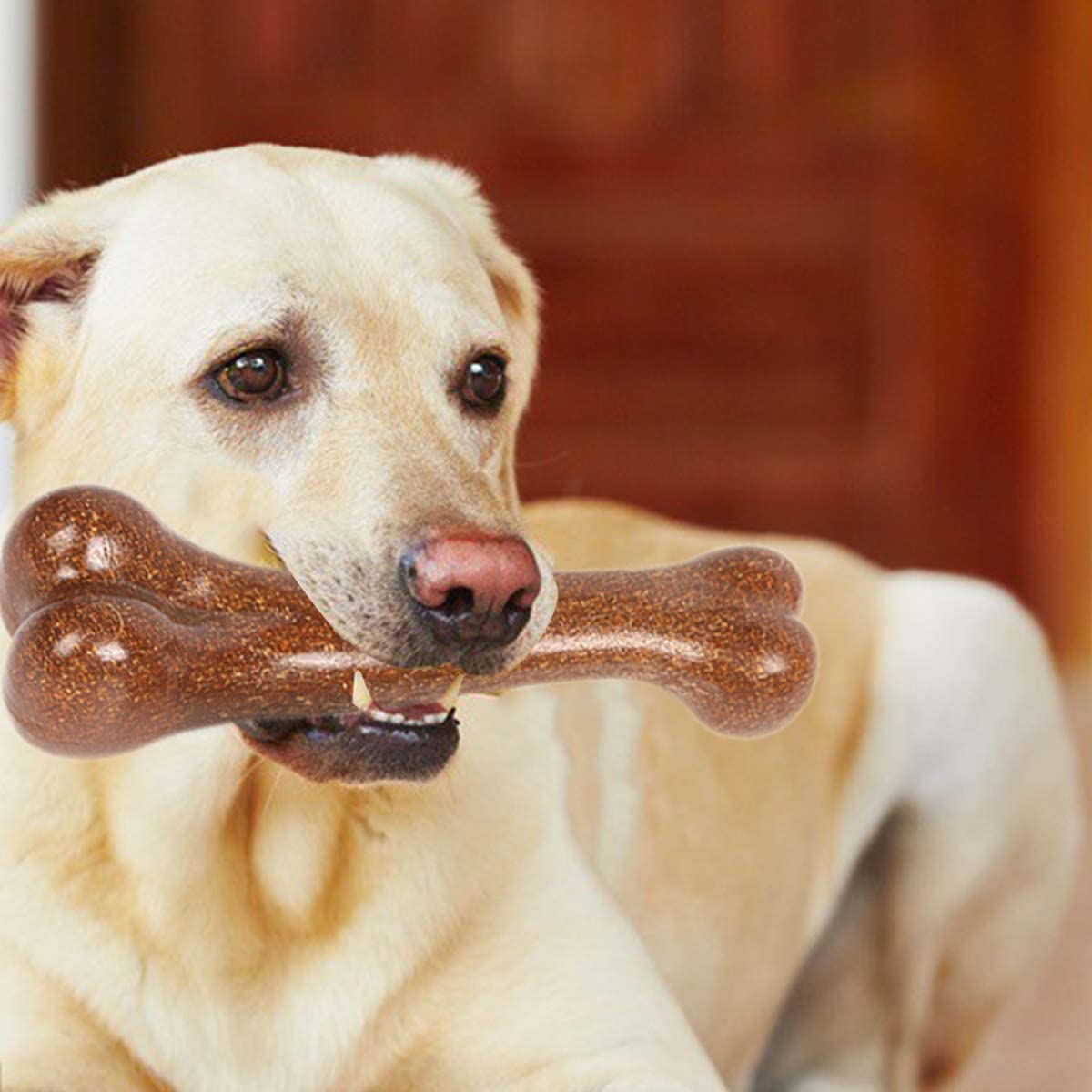 Qpets Squeaky Dog Toy Interactive Play, Pig Latex Dog Chew Toy Grunting Durable Rubber Soft Pet Toys Funny Voice Decompression Fetch Training for Small Medium Dog