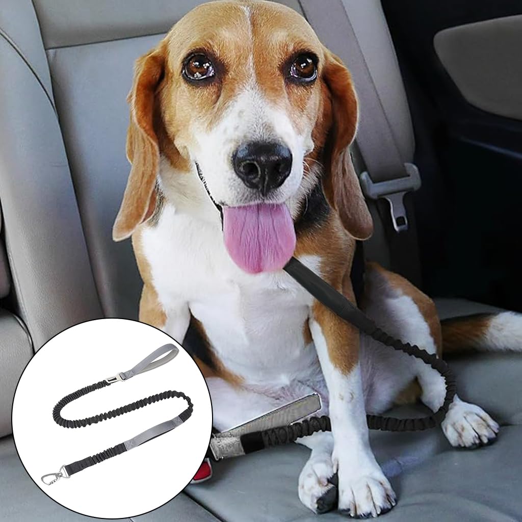 Qpets Dog Training Leash, Dog Leash Pet Belt with Sponge Handle for Dog, Nylon Bungee Pet Leash for Samll Medium Large Dog - Natural 1.25m/Stretching 1.9m