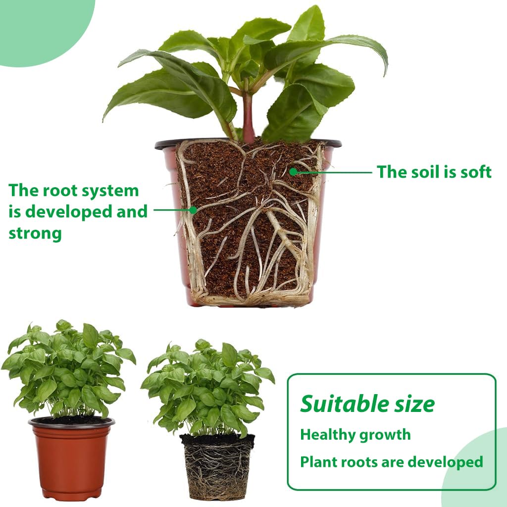 HASTHIP 4.72 Inches Flower Pot 50pcs Plant Pot with Draining Holes Seed Nurserying Pot Plastic Flower Pot Plant Pot