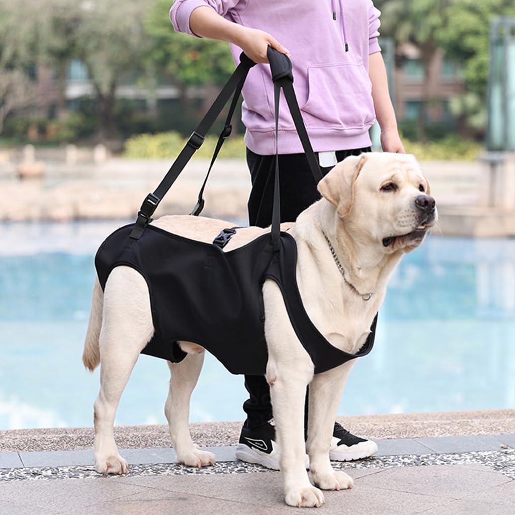 Qpets Dog Lift Harness, Walking Assistant Lifting Harness Dog Walking Support, Adjustable Length and Size Dog Walking Assistant Harness for Aging Dog, Disabled, Injured Dog (XL)