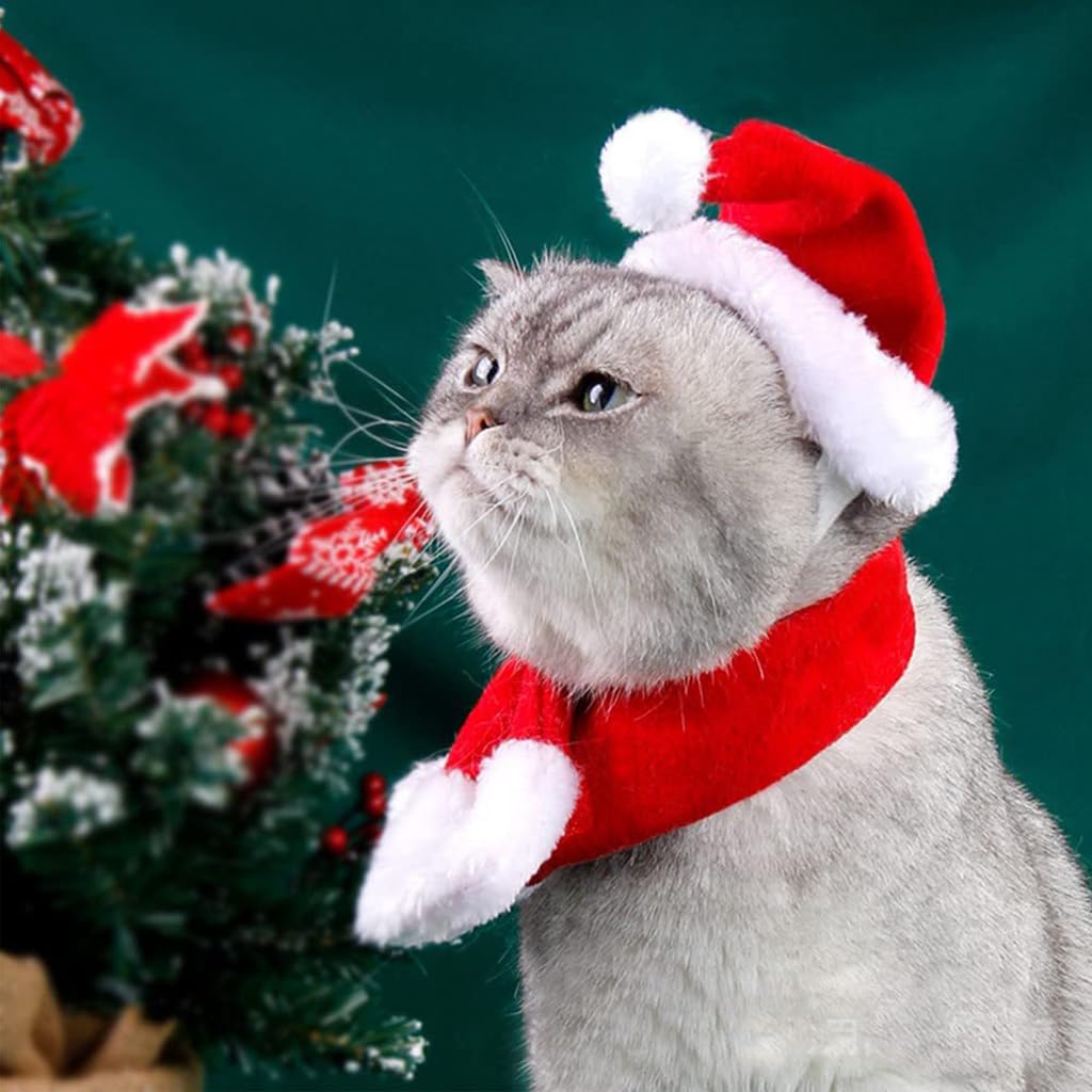 Qpets Christmas Costume for Cat Red Christmas Hat & Scarf for Cat Christmas Dressing Accessory for Cat Puppy, L
