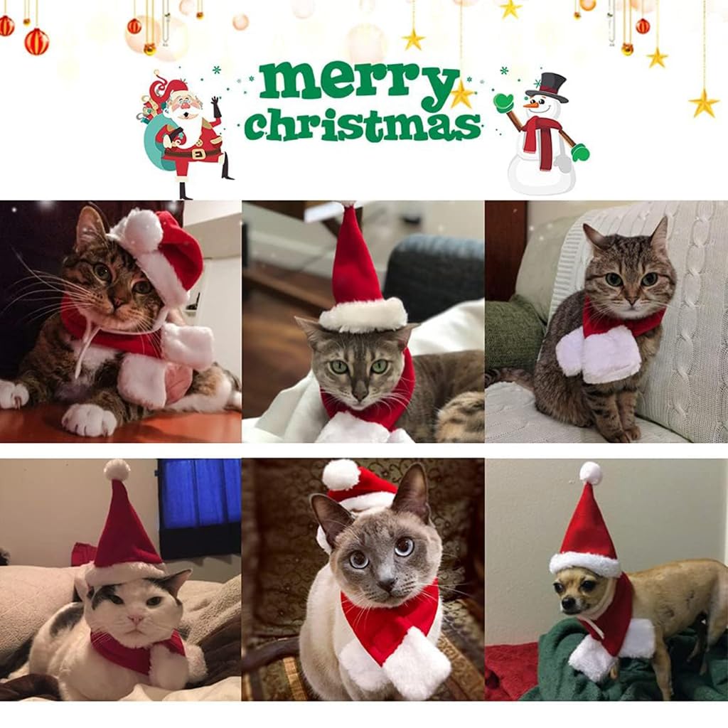 Qpets Christmas Costume for Cat Red Christmas Hat & Scarf for Cat Christmas Dressing Accessory for Cat Puppy, L