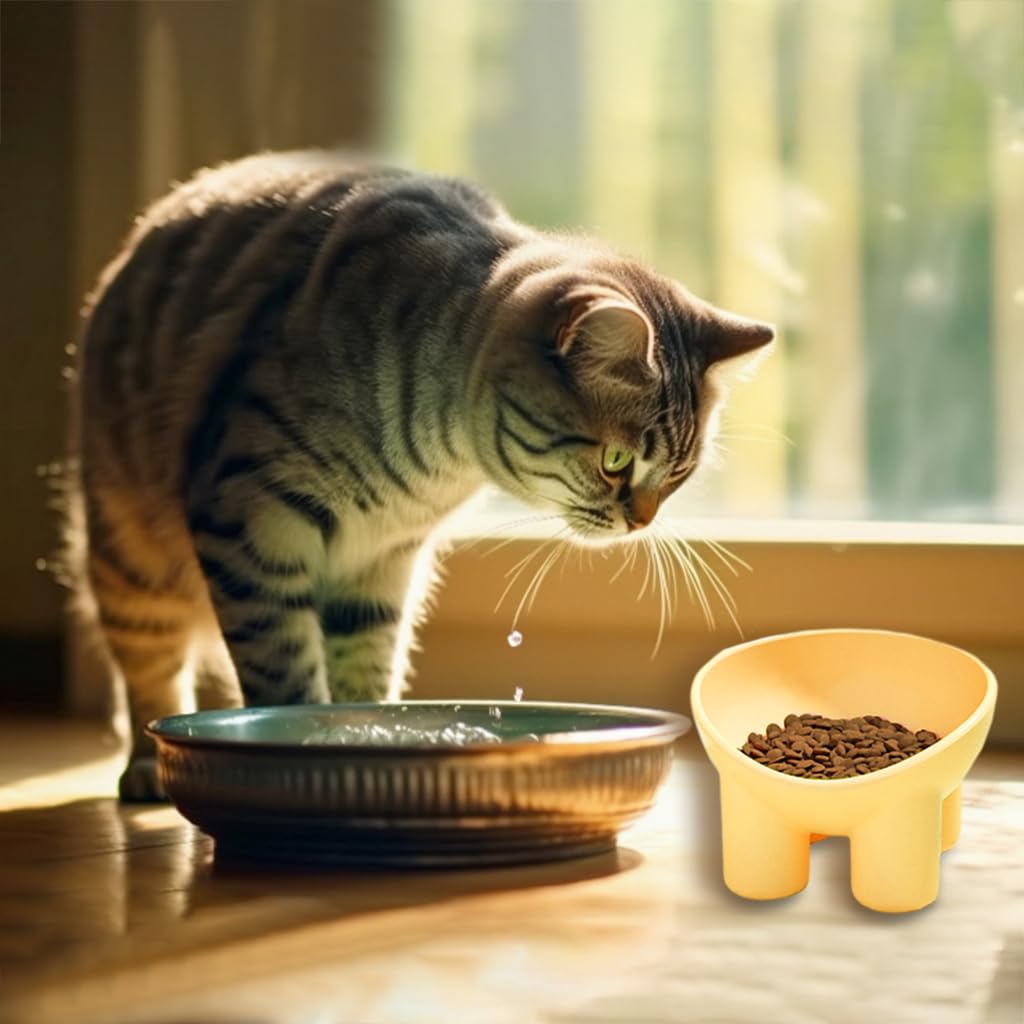 Qpets Cat Feeding Bowl Elevated Feeding Bowl for Cat Round Cat Food Bowl Healthy Cat Feeding Bowl, Prevent Tipping Over Durable Plastic Cat Feeding Bowl (5.4inch Diameter, Yellow)