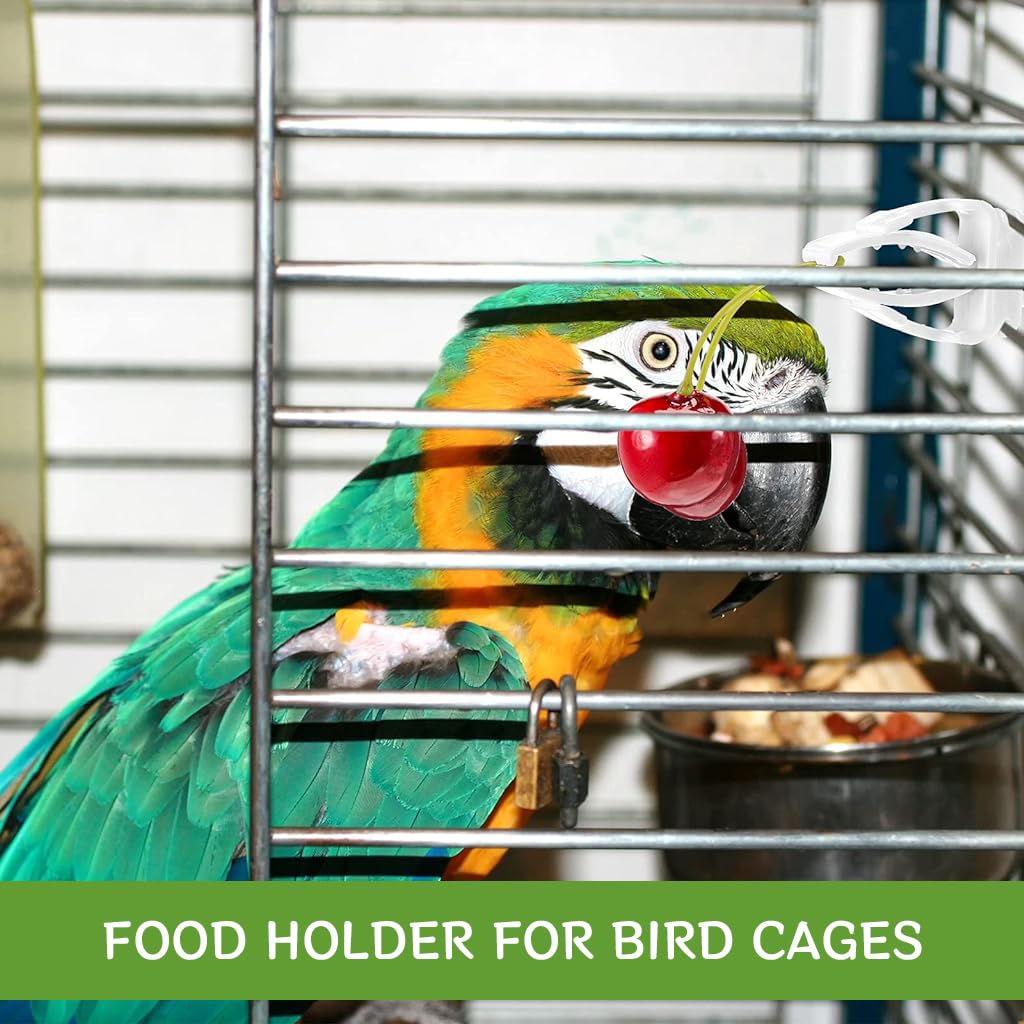 Qpets Pet Food Clip, 6Pcs Bird Food Clips Holder for Cage Fruit Slice Clip Holder for Cage Plastic Bird Food Clip for Fruit Slices, Vegetable Leaf, Stem