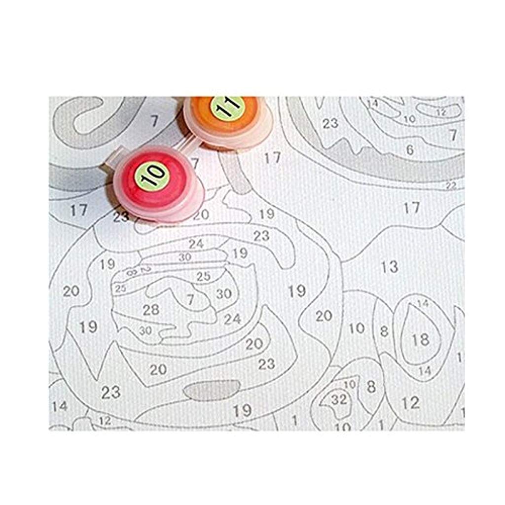 HASTHIP DIY Oil Painting - Paint by Numbers for Kids and Adults Beginners Kits with Brushes 16 * 20 inch (Without Frame)