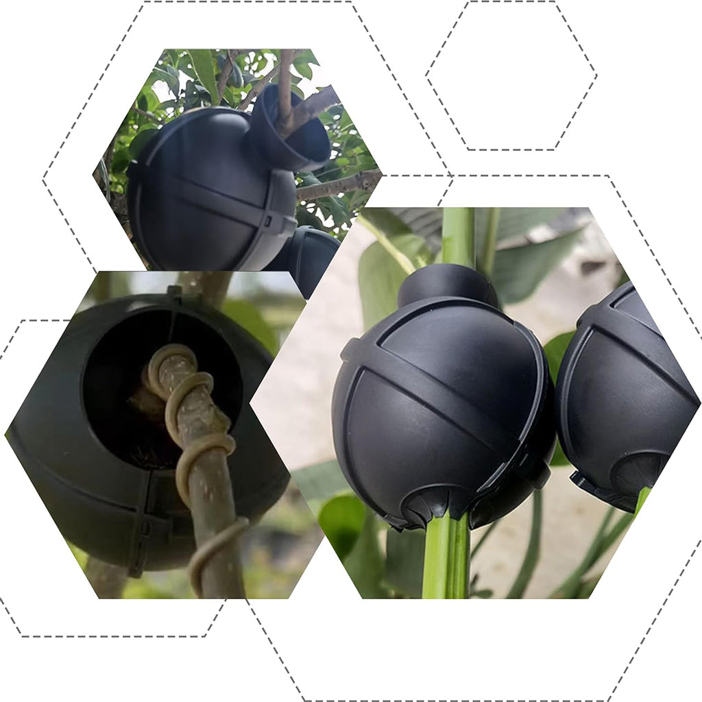 HASTHIP 6 Pcs Plant Rooting Ball - Plant Root Grow Box - Reusable Plant Rooting Grow Propagation Ball - Garden Grafting Tools for Indoor/Outdoor Plants - Air Layering Plant Propagation Ball (Black)