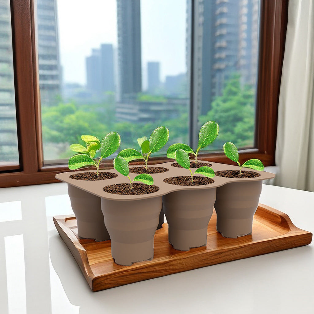 HASTHIP® Silicone Seed Starter Tray 6-Cell Seed Starter Tray Seedling Tray Reuseable Ventilation Seed Propagation Tray Plant Seeds Starter Tray Seeds Nursery Tray
