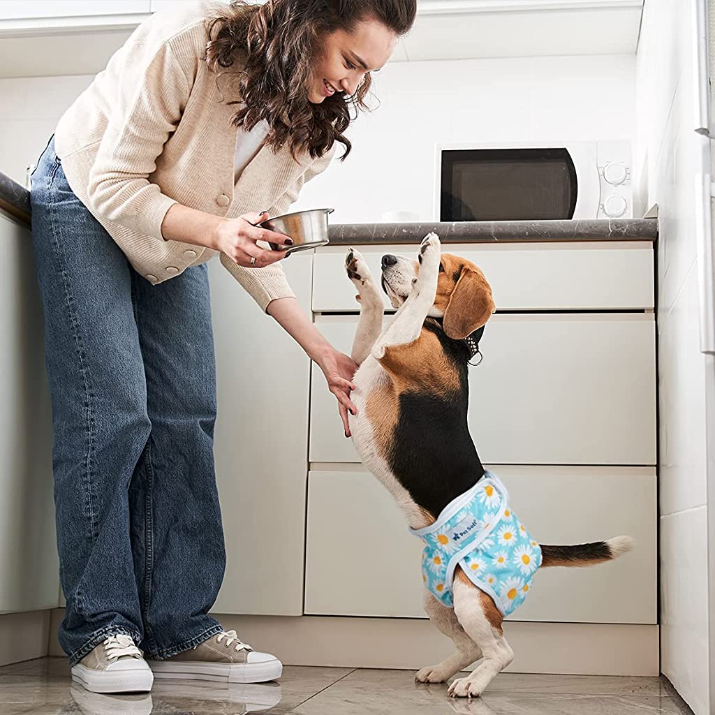 Qpets Diaper for Dogs Female, 2 Pack Pet Use Soft Reusable Female Dog Diapers, 160ml Water Absorbption Comfort Reusable Doggy Diapers for Female Dogs & Puppy(L, Recommended Waist 19''-27'')