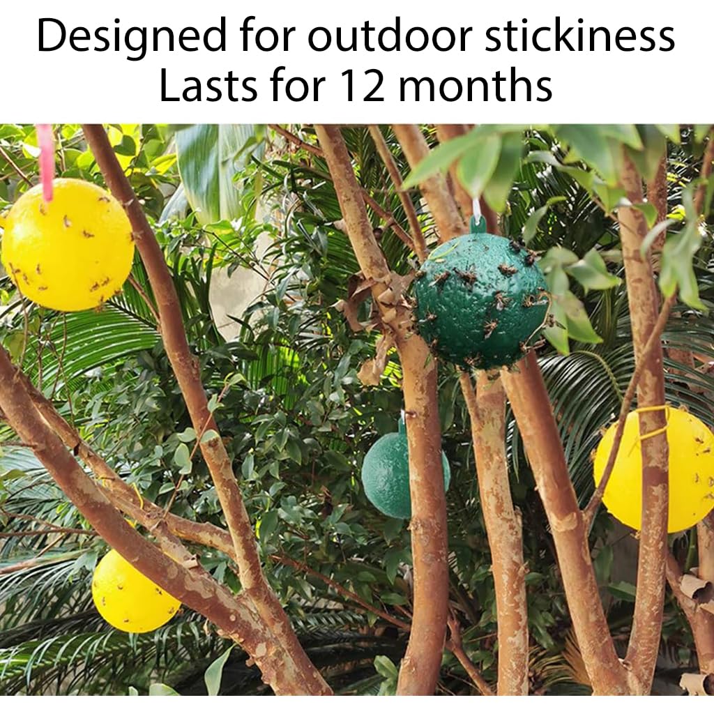HASTHIP 4Pcs Fruit Fly Trap Sticky Ball Fruit Fly Trapping Ball Hanging Fruit Fly Trapping Ball 3.1 inches Yellow Sticky Fly Trapping Ball for Greenhouse Use, Fruit Tree