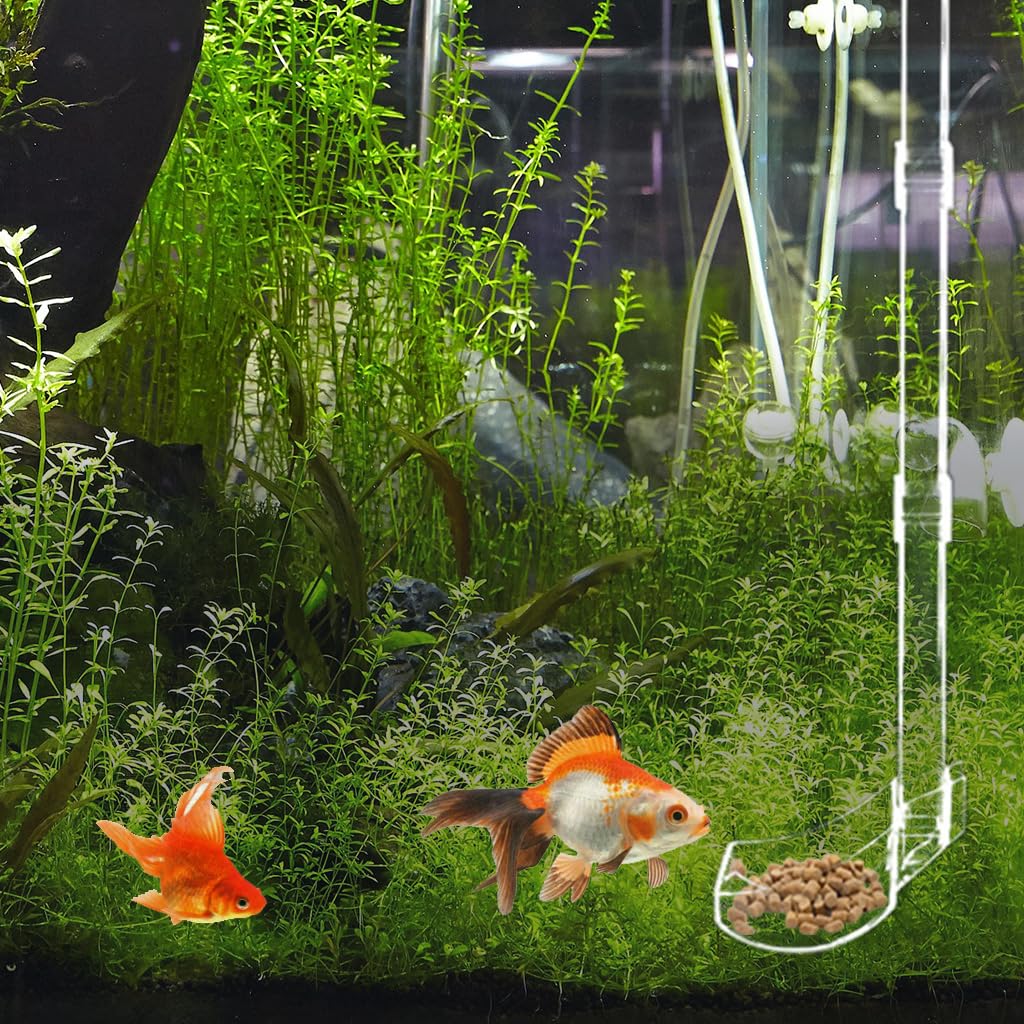 Qpets Multifunctional Automatic Fish Feeder, Aquarium Accessories Food Fish Tank Accessories Wall Mounted Fish Feeder with Adjustable Height and Suction Cup Design