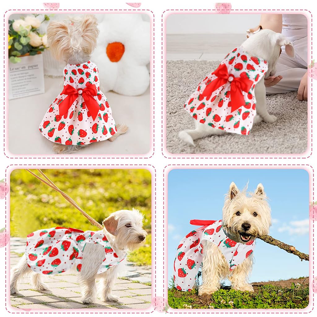 Qpets Summer Female Dog Dress for Small Dogs Kitten Dog Clothes Clothing Cute Strawberry Bow Print Princess Dress for Puppies, Kittens, Chihuahua, Maltese, Pug, Papillon(Suitable for 3-3.5kg)