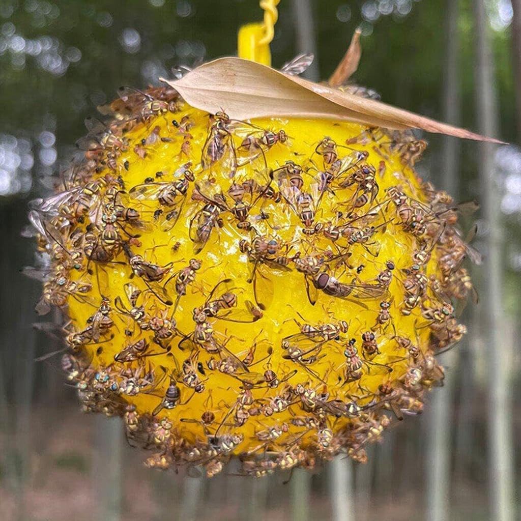 HASTHIP 4Pcs Fruit Fly Trap Sticky Ball Fruit Fly Trapping Ball Hanging Fruit Fly Trapping Ball 3.1 inches Yellow Sticky Fly Trapping Ball for Greenhouse Use, Fruit Tree