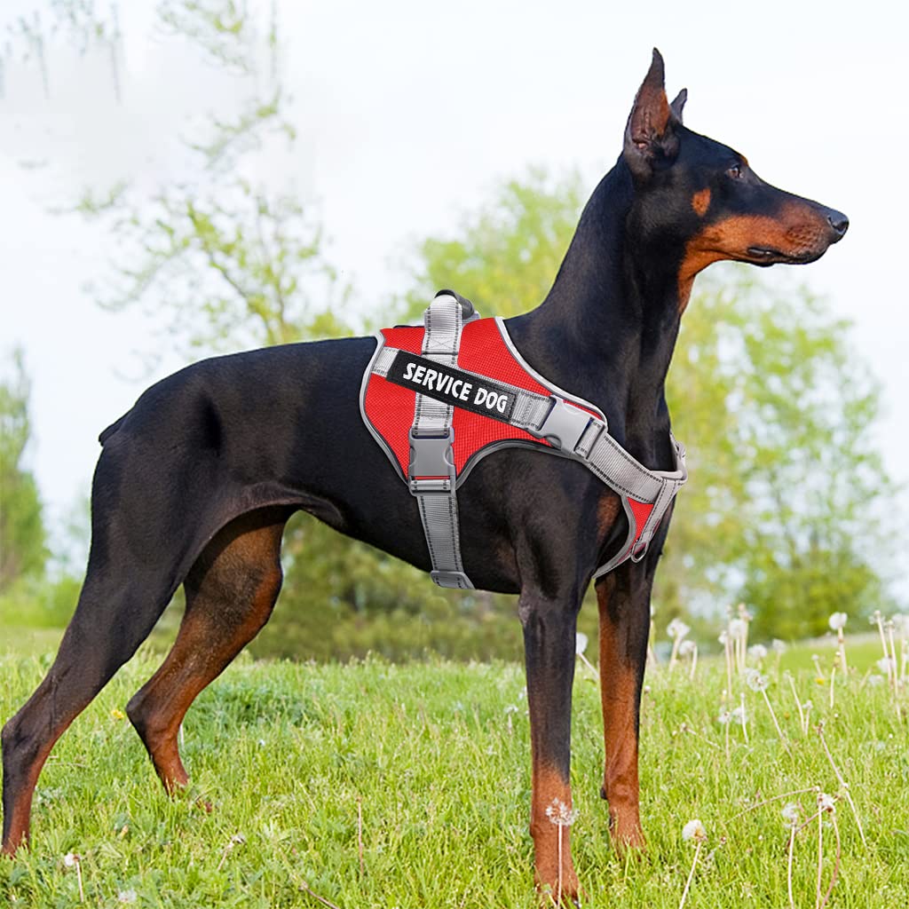 Qpets D-Ring Body Belt for Dogs, Dog Harness for Large Dogs with Safety Reflective Strip, Quick Release Buckle Adjustable Size Easy Control Handle for Medium Large Dog for 23-30kg(L)