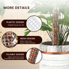 HASTHIP 2pcs 25cm Moss Stick for Plants with 5 Lables and 1 Roll Velcro, Plastic Plant Stakes and Supports for Money Plant, Climbing Indoor Plants HASTHIP 2pcs 25cm Moss Stick for Plants with 5 Lables and 1 Roll Velcro, Plastic Plant Stakes and Supports for Money Plant, Climbing Indoor Plants