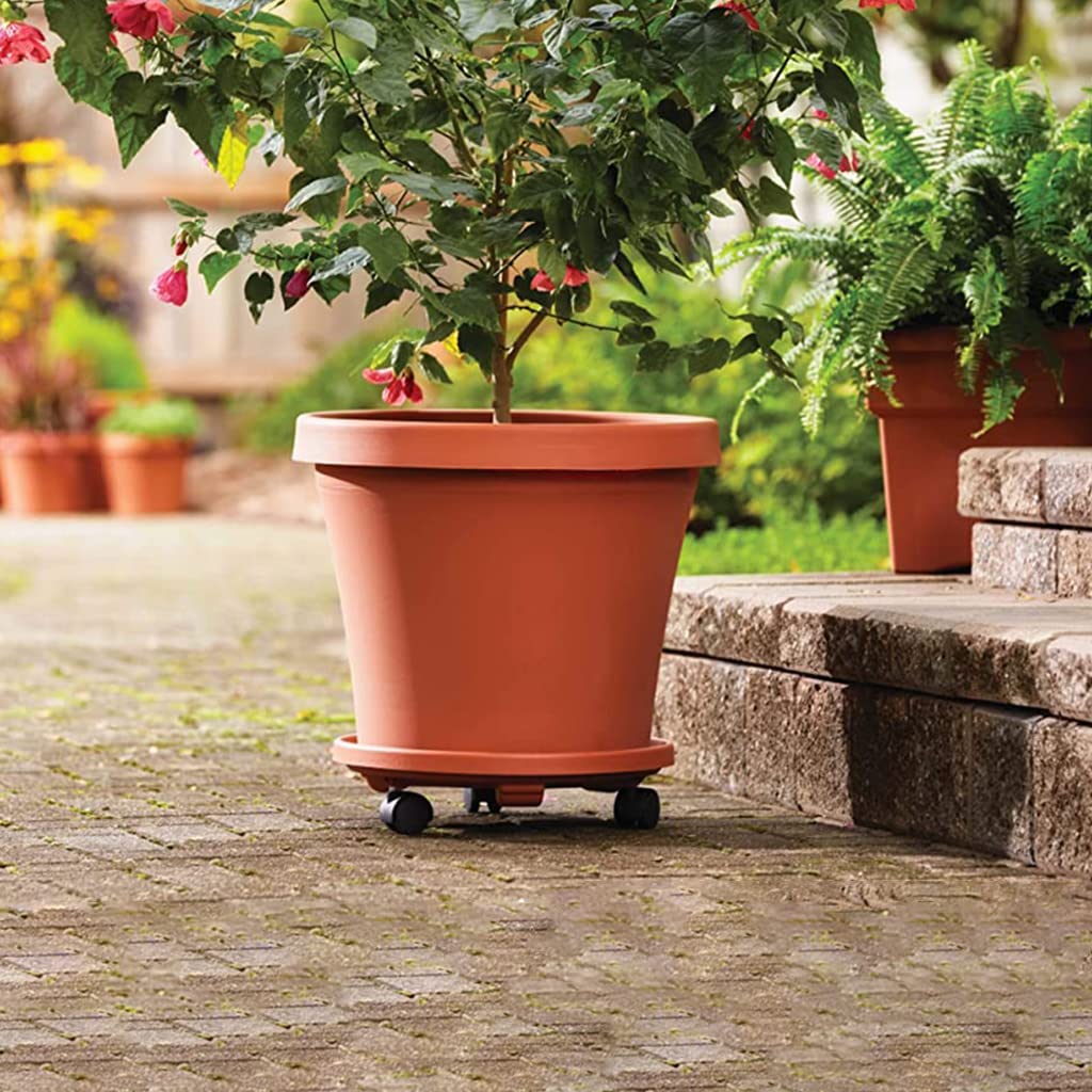 HASTHIP 30cm Plant Pot Stand with Wheels, Thicken Heavy Movable Round Plant Caddy and Multipurpose Trolley for Plant Pot, Cylinder