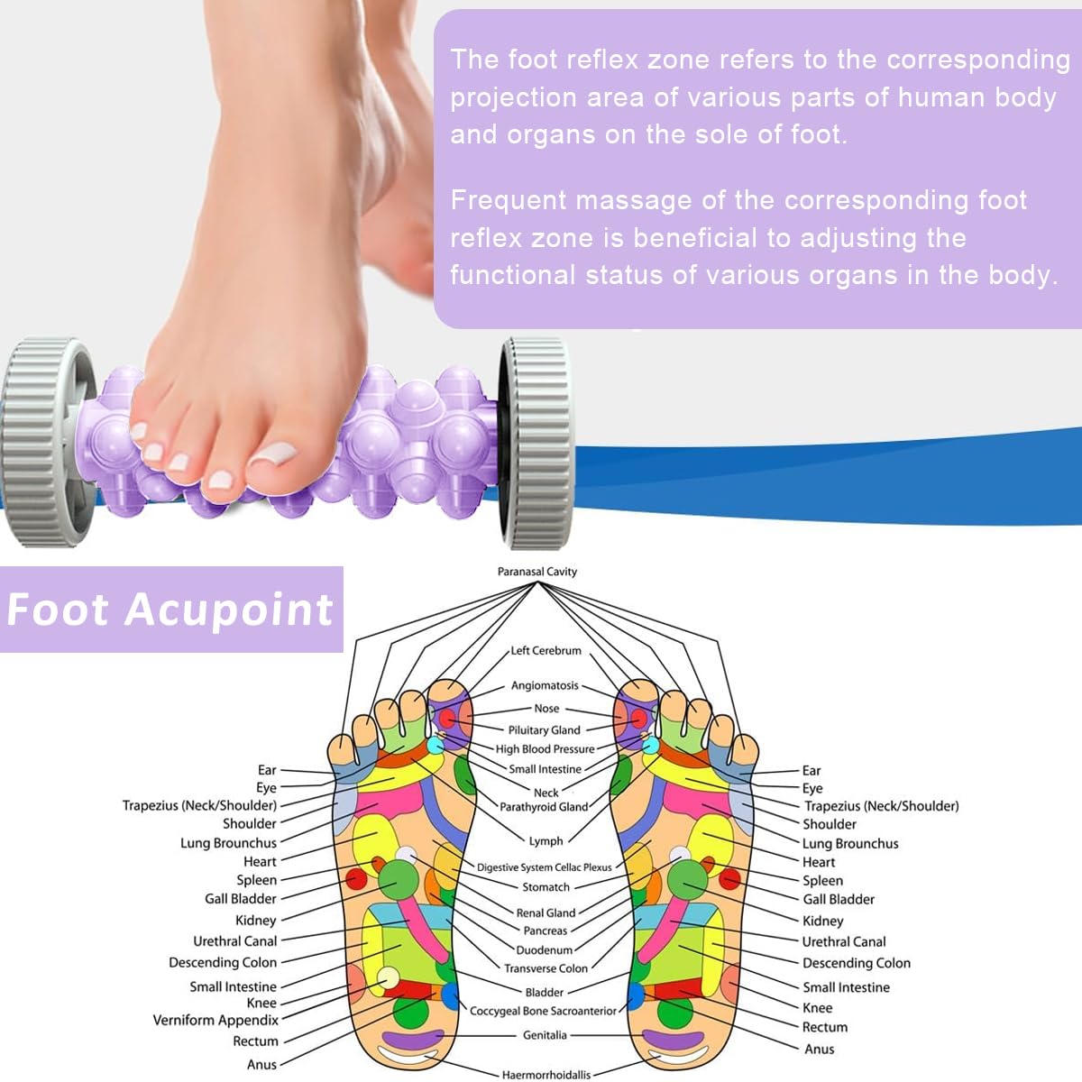 HANNEA Foot Massage Roller with Wheels, Foot Massager for Pain Relief, Deep Tissue Acupressure Tools, Reflexology Trigger Point Therapy Foot Massage Roller for Arch Heel Recovery Acupressure 18x8cm