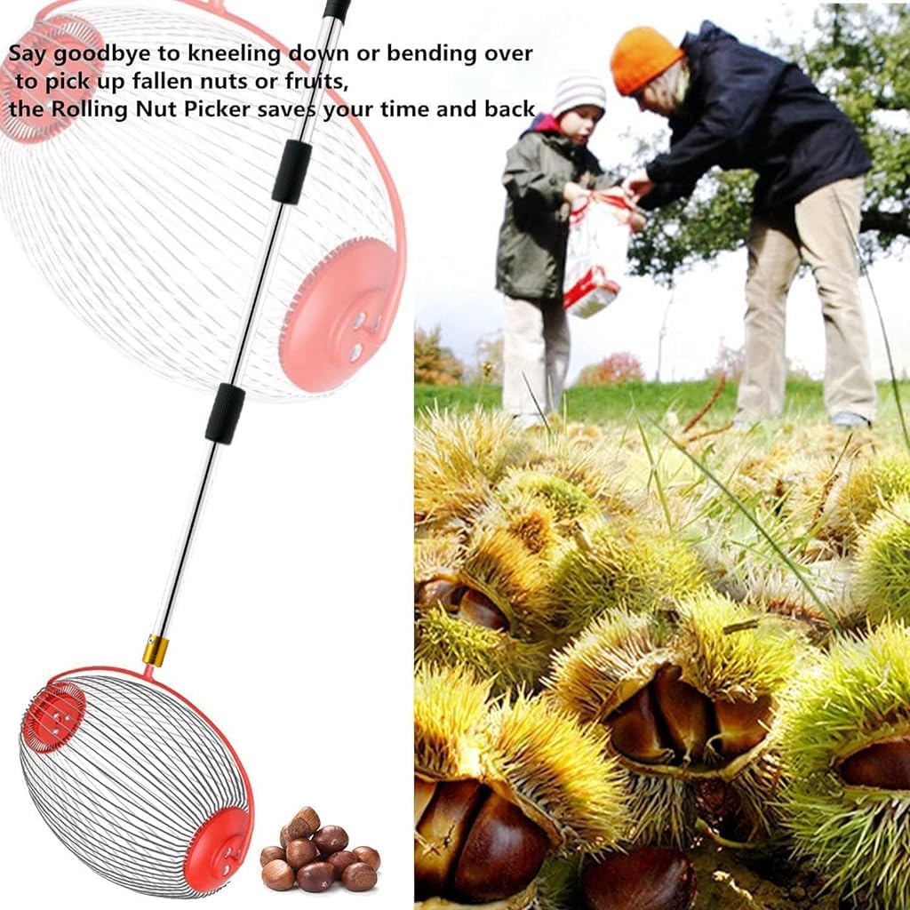 Proberos 128cm Nut Collector, Fruit Picker for Walnuts, Fruits, Golfball, Tennis Ball, Telescopic Pole Labor Saving Rolling Gatherer Tool