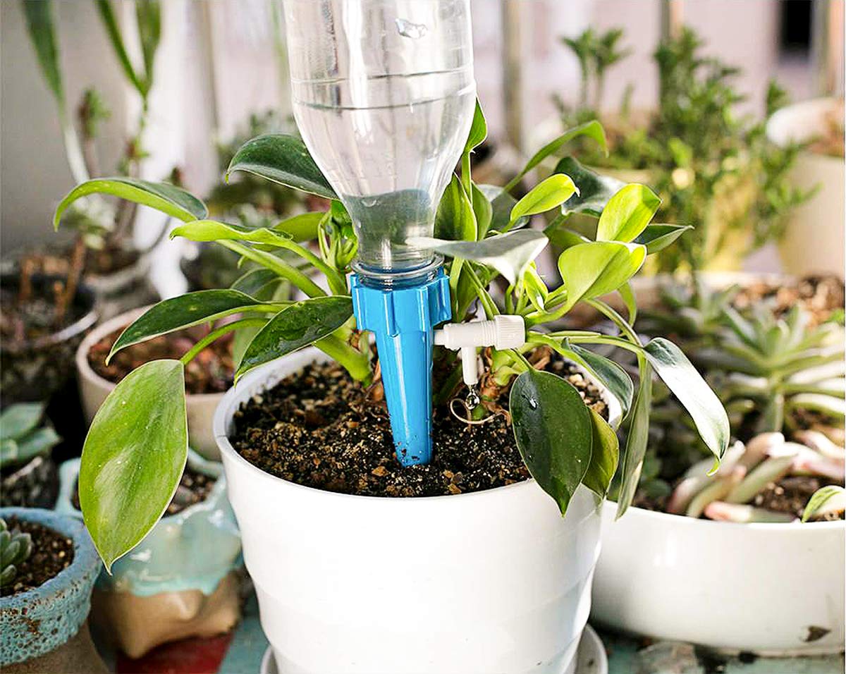HASTHIP Plastic 24 Pcs Drip Irrigation Kit For Home Garden, Self-Watering Spikes For Plants, Automatic Plant Water Dropper