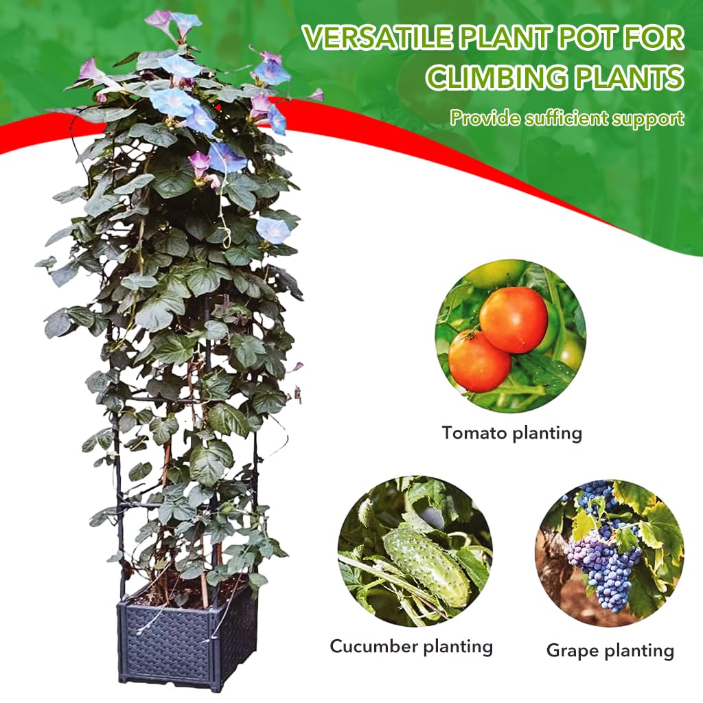 HASTHIP Planter Box for Twining Plants, Clinging Plants, Tendril Plants, Climbing Vegetables, Vegetables Pots for Home Garden with Draining Holes & Trellis