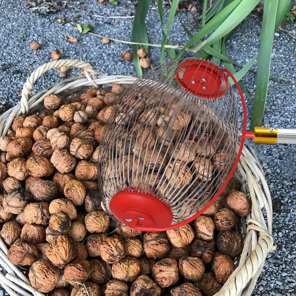 Proberos 128cm Nut Collector, Fruit Picker for Walnuts, Fruits, Golfball, Tennis Ball, Telescopic Pole Labor Saving Rolling Gatherer Tool